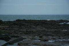 newcastle_march_07_212