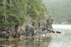 image133