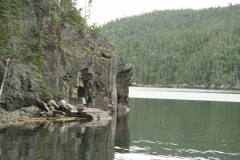 image181