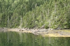 image186
