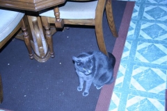 picture_110