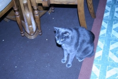picture_111
