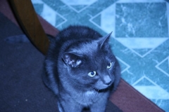 picture_112