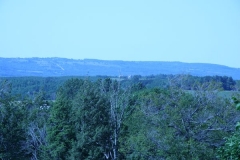 picture_204