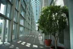 picture_420