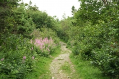 image011