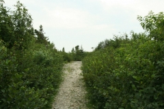 image012