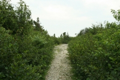 image013