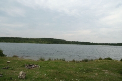 image019