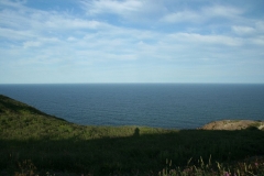 image026