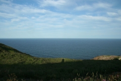 image027