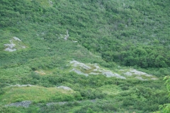 image051