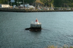 image207