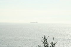 image019